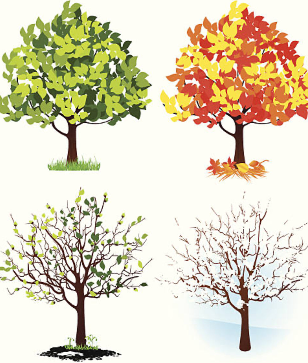 4 Season Landscape Package