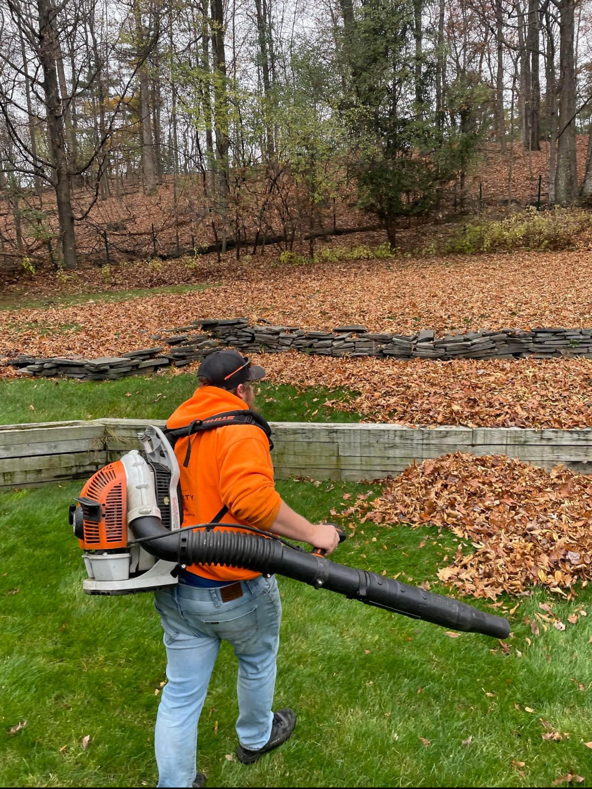 Fall Cleanup
