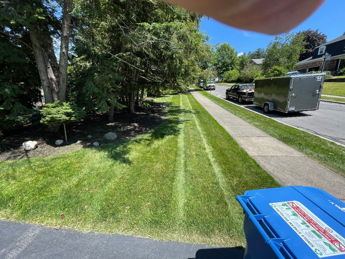 Complete Mowing Services